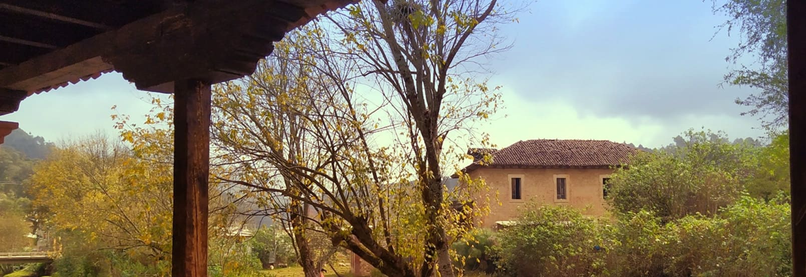 banner